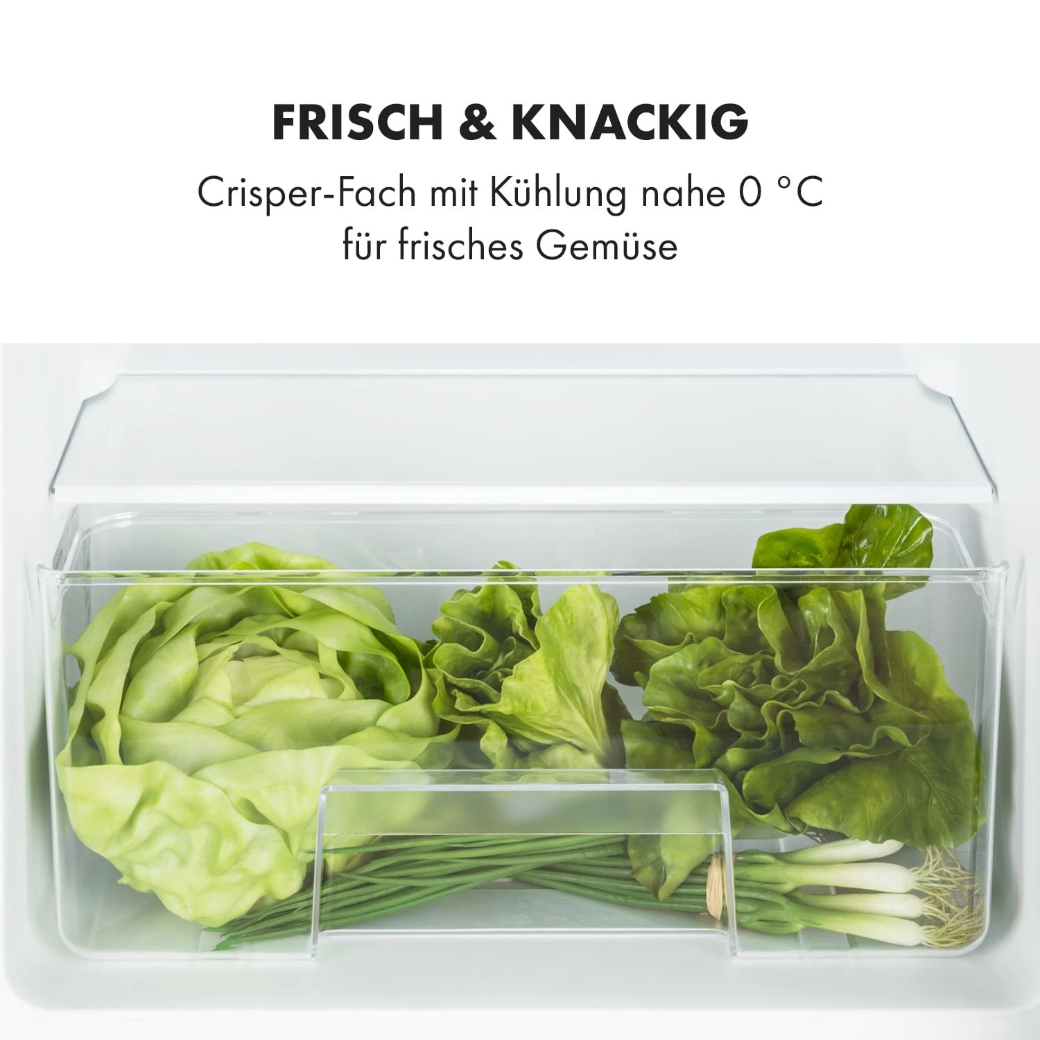 Big Daddy Cool Kühl-Gefrierkombination 61/25 Liter 2 Ebenen Edelstahl – Bild 5